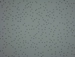 Mineral Fiber Ceiling